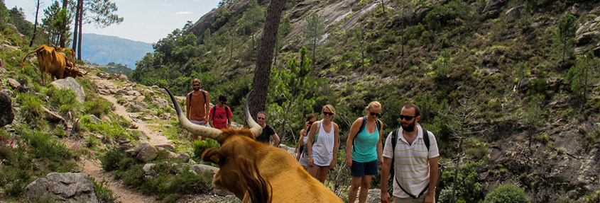 Off the Beaten Path in Porto / Hiking in Portugal National  Park