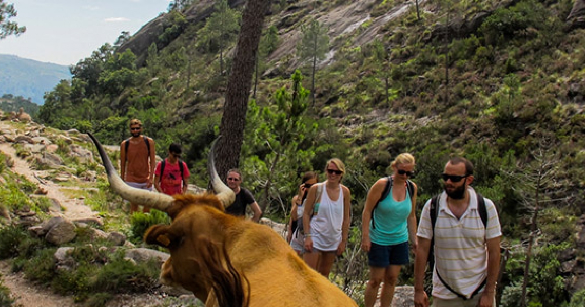 Off the Beaten Path in Porto / Hiking in Portugal National  Park 