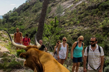 Off the Beaten Path in Porto / Hiking in Portugal National  Park 