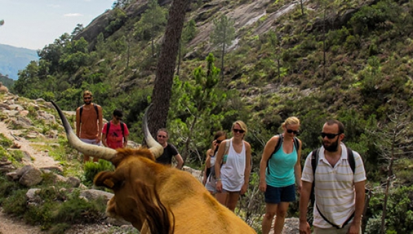 Off the Beaten Path in Porto / Hiking in Portugal National  Park
