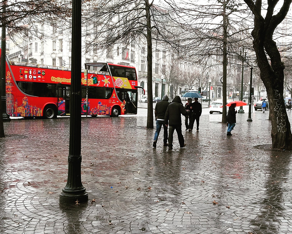 What to do in porto when it's rainy?