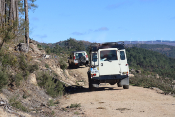Sustainable Adventure with Vintage Land Rovers at Oporto Adventure Tours