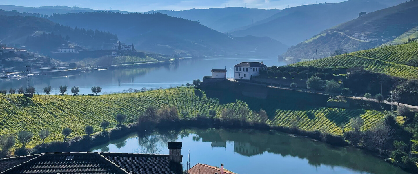 Explore the Douro Valley
