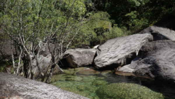 A Day in Peneda-Gerês National Park: Nature Getaway from Porto