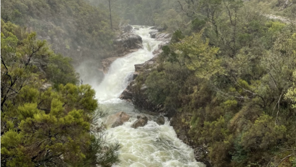 When It Rains in Porto: Escape the City, Find the Wild
