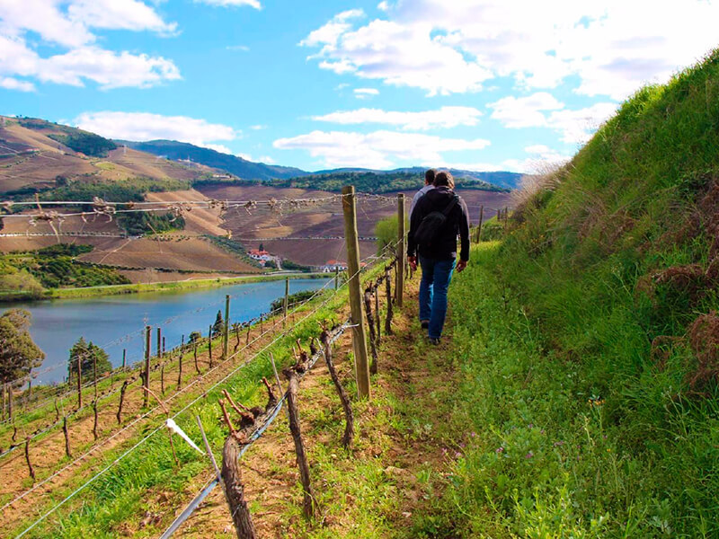 Kayaking & Hiking Farms