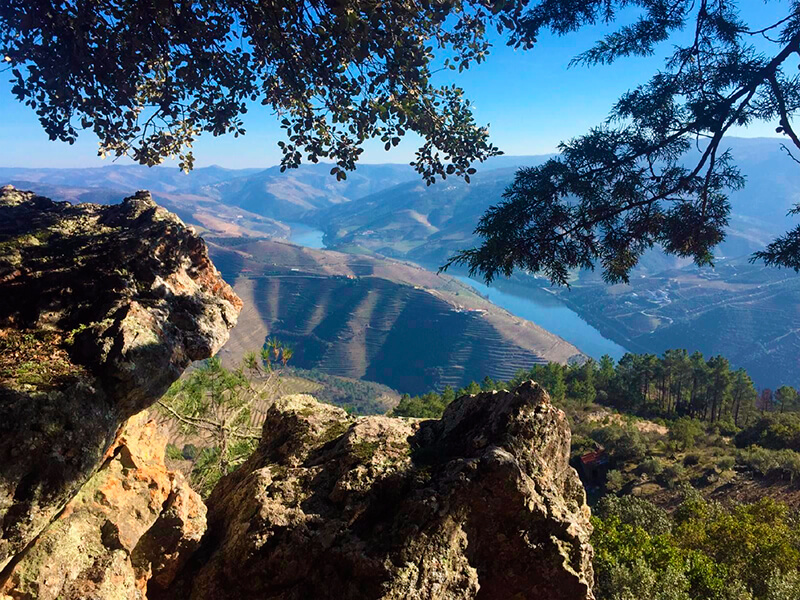 Douro Valley Tours